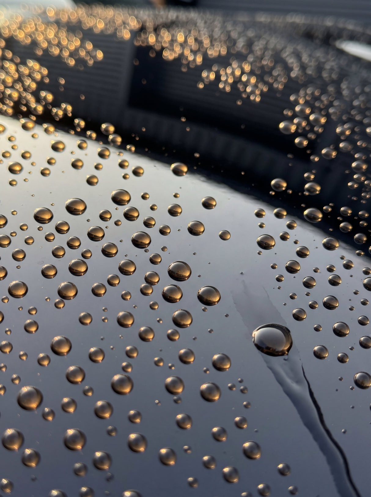 GYEON Q²M PPF Maintain (REDEFINED) — Sprühversiegelung für Lackschutzfolie