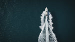 Boat Descaling Wash "Bdw" Tiefenreinigendes Shampoo (Marine-Linie)